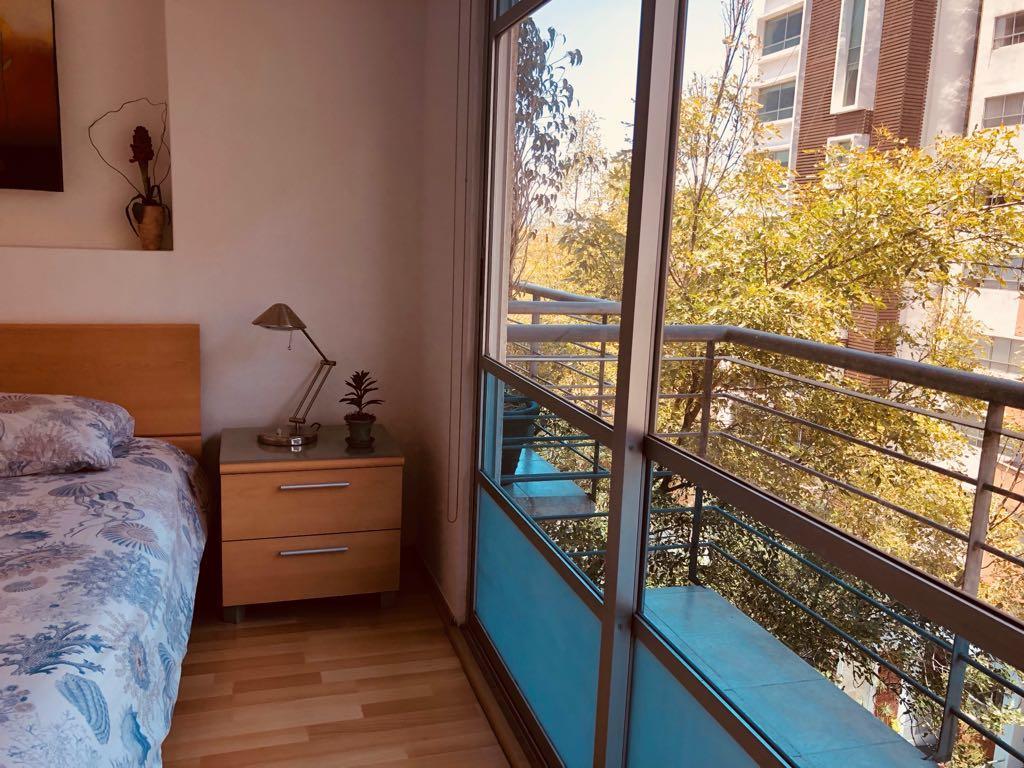 Departamento Arquimedes 214 - 503 Apartment Mexico City